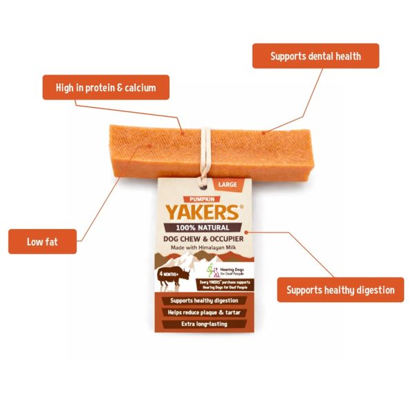 Yakers Pumpkin F&B 1080px Yakers Pumpkin F&B 1080px
