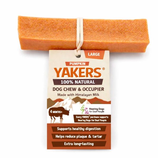 Yakers Pumpkin Large 1080px