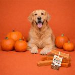 Yakers Pumpkin Lifestyle 1080px