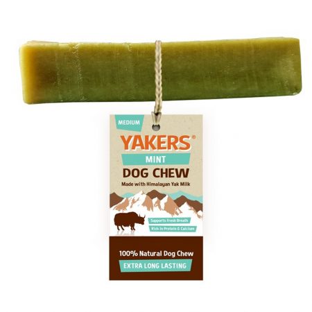 Yakers XL Mint Himalayan Yak Milk Dog Chew