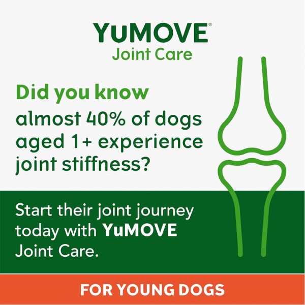 YuMove Joint Care Daily Bites Did You Know Infographic 1080px YuMove Joint Care Daily Bites Did You Know Infographic 1080px