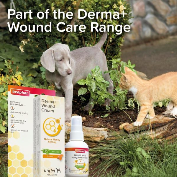 beaphar-derma-wound-cream-30ml-4 Puppy and kitten in a garden with Beaphar Derma+ Wound Cream and Beaphar Wound Spray