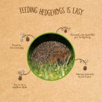 Feeding hedgehogs with Brambles: feed in the evening, about one handful per hedgehog in a shallow dish, with fresh water