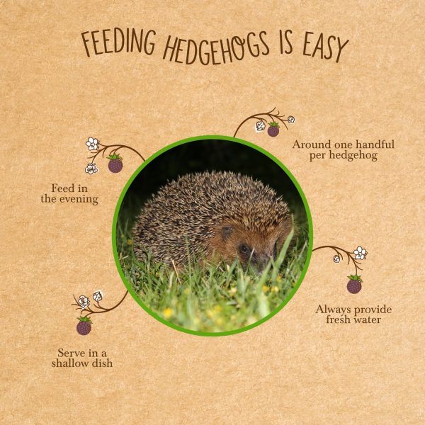 brambles-crunchy-hedgehog-food-3 Feeding hedgehogs with Brambles: feed in the evening, about one handful per hedgehog in a shallow dish, with fresh water
