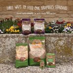 Three ways to feed Brambles hedgehog food: crunchy, semi-moist and tinned, individually or mixed