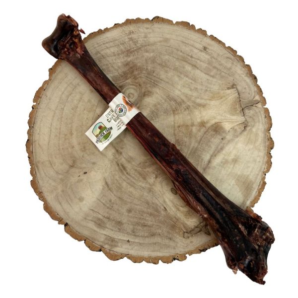 caveman-bone-1 Overhead shot of a Large Ostrich "caveman" bone on a decorative log