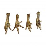 chicken-feet-2