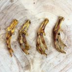duck-feet-1