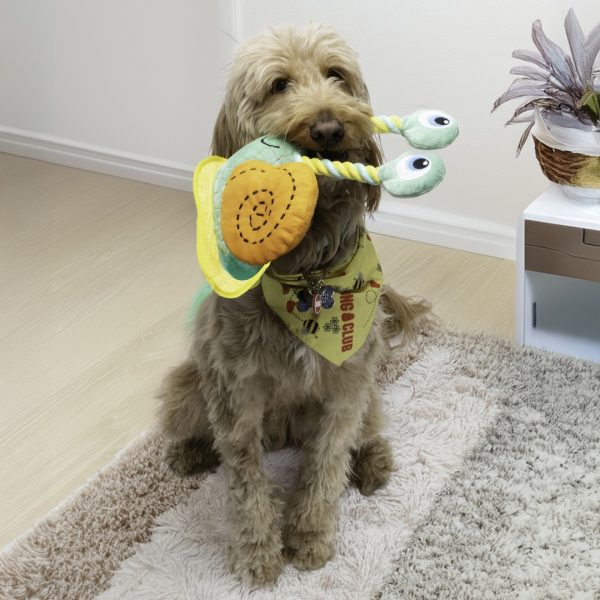 kong-bendeez-snail-7 Scruffy golden dog carrying the green and orange KONG Bendeez Snail in its mouth