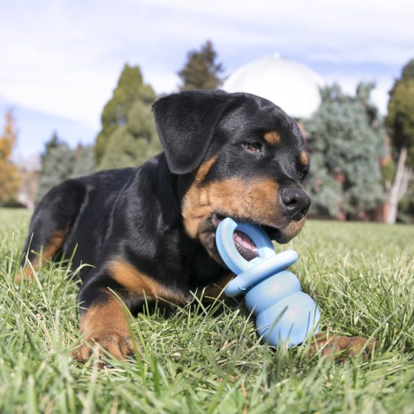 kong-puppy-binkie-lifestyle-2 kong-puppy-binkie-lifestyle-2