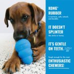 kong-rubber-benefits