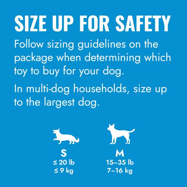 kong-size-up-for-safety kong-size-up-for-safety