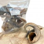 lamb-horn