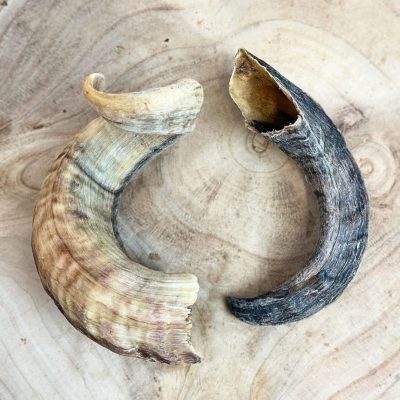 Paddock Farm Lamb Horn