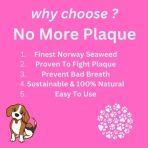 Why choose No More Plaque graphic listing Norwegian seaweed, plaque and bad breath benefits, with a beagle illustration