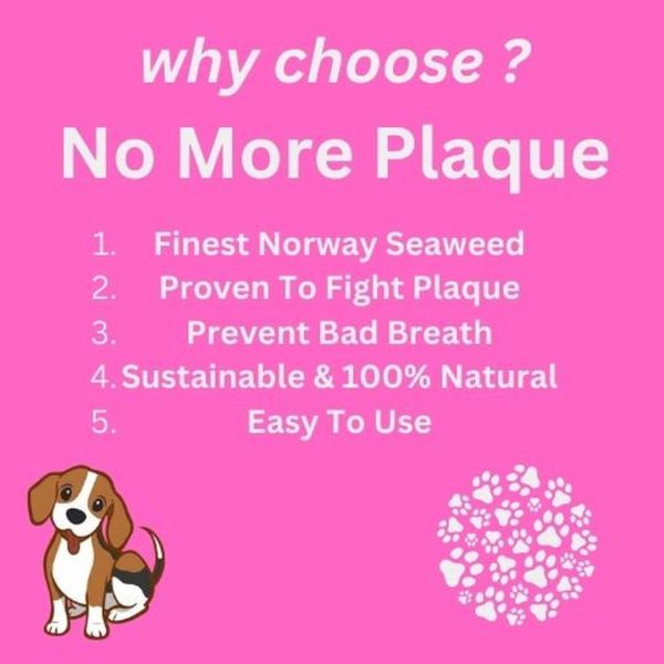 no-more-plaque-60g-3 Why choose No More Plaque graphic listing Norwegian seaweed, plaque and bad breath benefits, with a beagle illustration