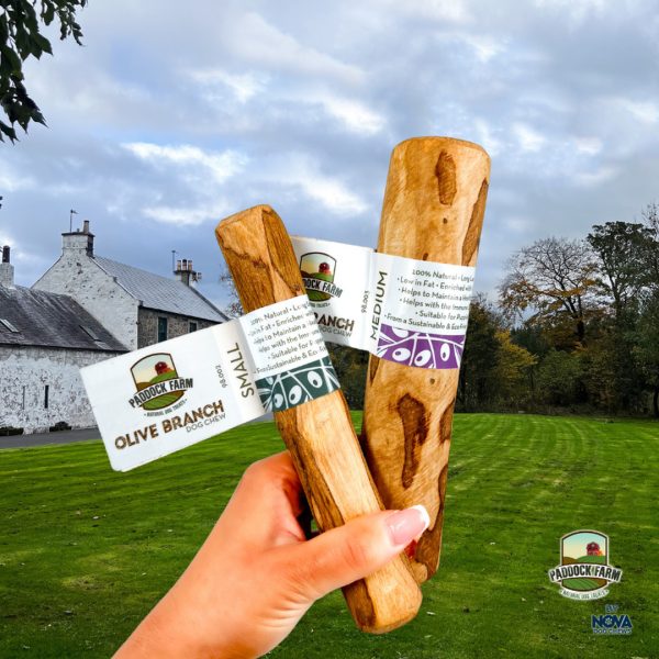 nova-paddock-farm-olive-branch-dog-chew-1 nova-paddock-farm-olive-branch-dog-chew-1