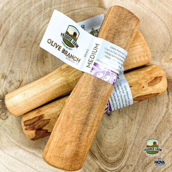 nova-paddock-farm-olive-branch-dog-chew-3 nova-paddock-farm-olive-branch-dog-chew-3