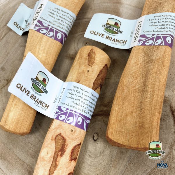 nova-paddock-farm-olive-branch-dog-chew-4 nova-paddock-farm-olive-branch-dog-chew-4