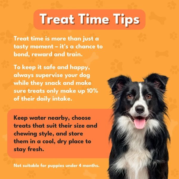 pet-munchies-beef-liver-sticks-dog-treats-90g-6 Pet Munchies treat time tips: supervise, keep water nearby and treats up to 10% of daily intake