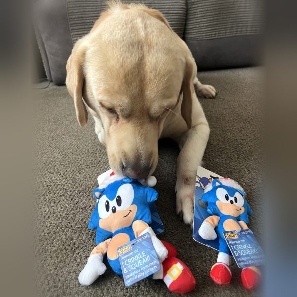 sonic-festive-thor-both-sizes-1080 sonic-festive-thor-both-sizes-1080