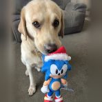 sonic-festive-thor-holding-9in-1080
