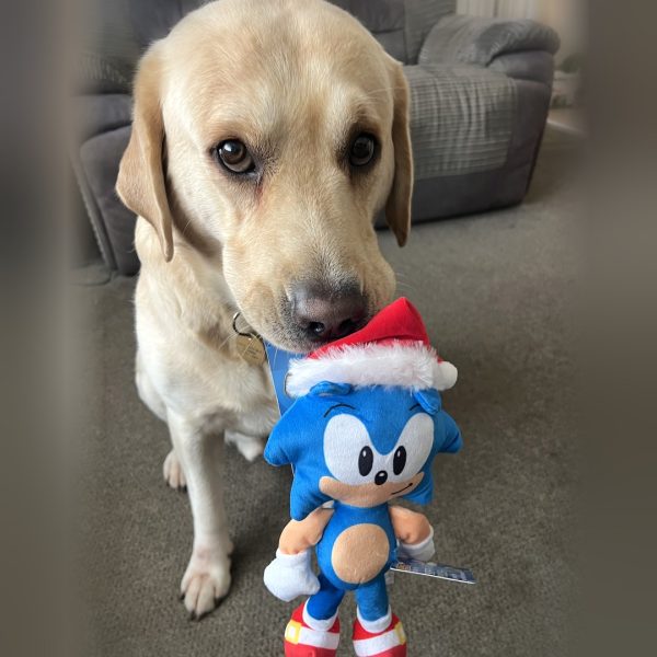 sonic-festive-thor-holding-9in-1080 sonic-festive-thor-holding-9in-1080